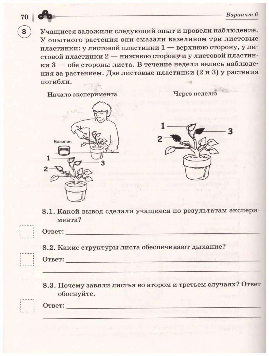 Впр биология шестой класс первый вариант