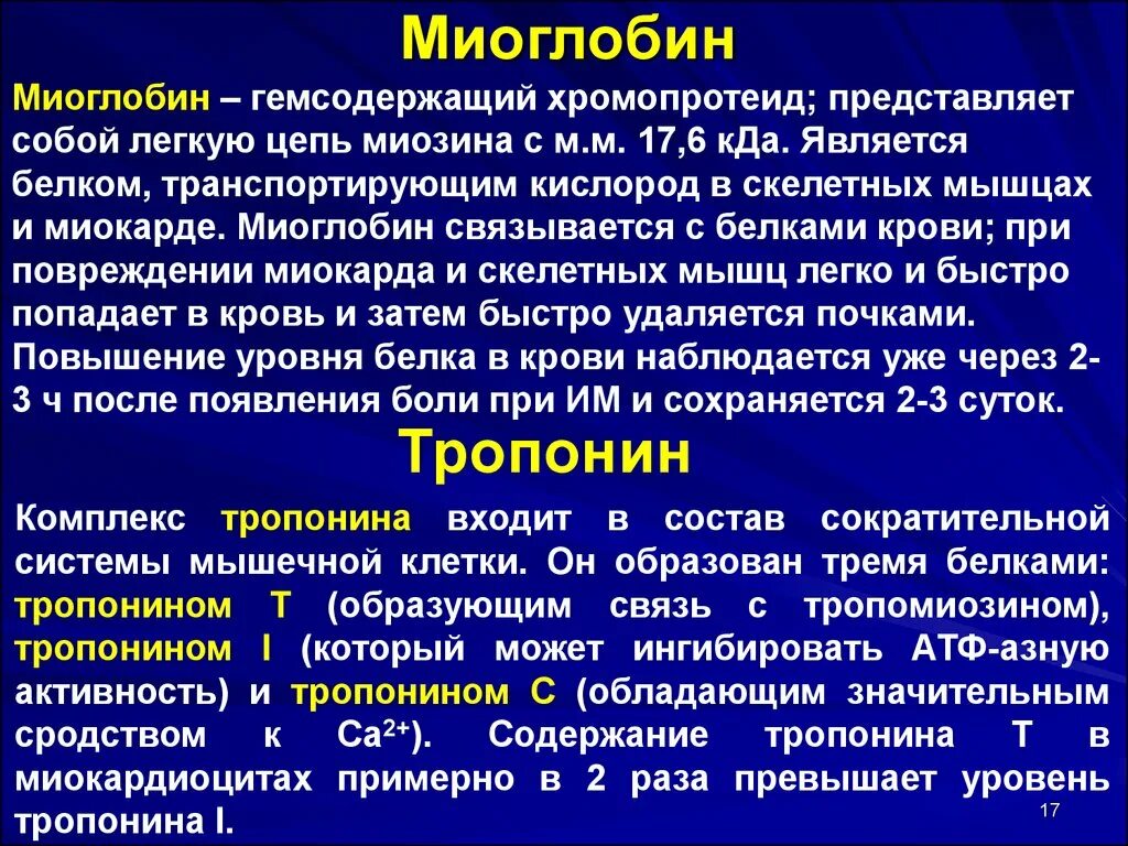 Миоглобин. Миоглобин структура. Миоглобин строение. Миоглобин функции.