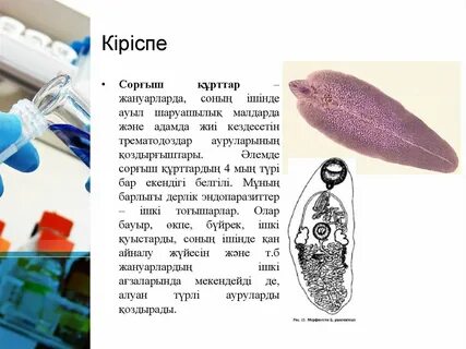 Ретро порно фильмдерді қараңыз