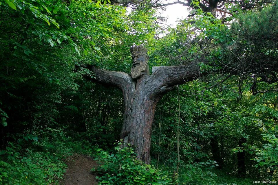 Деревья армян. Король леса Дилижан. Агарцин Армения дерево. "King of the Forest" Carved Tree Армения. Монастырь Агарцин дерево.