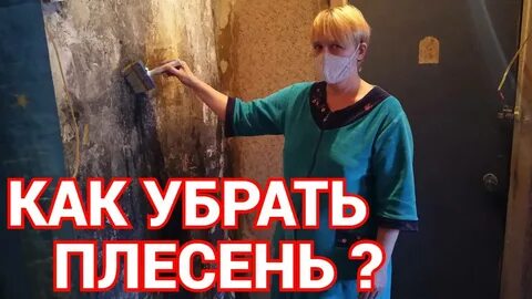 Как удалить плесень в домашних условиях ?.mp4 - смотреть видео онлайн от "Обзоро