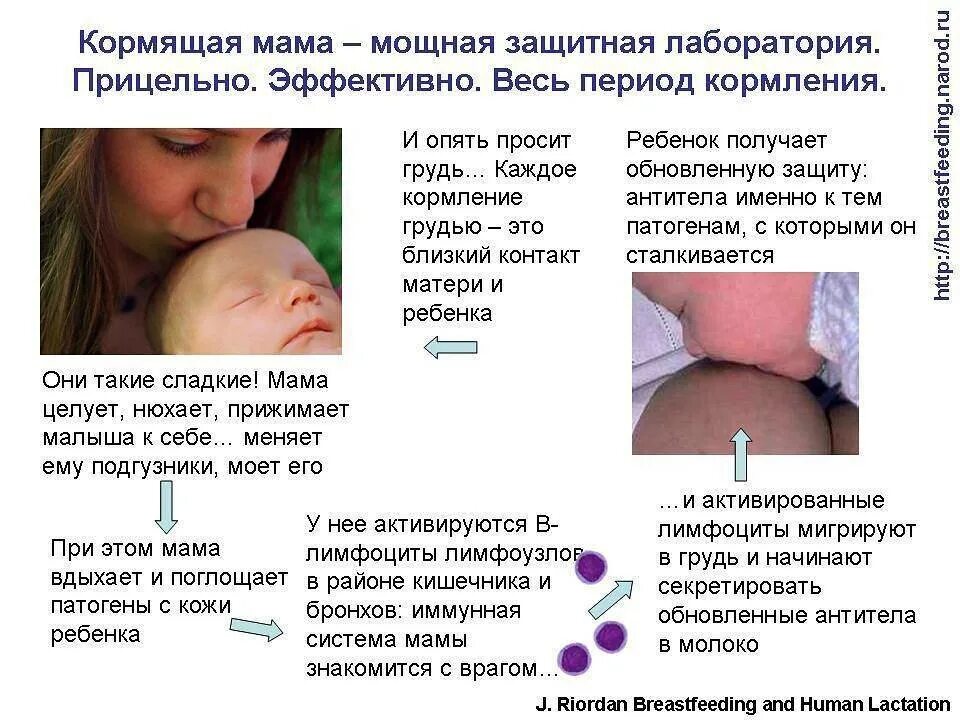 Можно ли пить мамам. Кормление грудью. Как можно кормить новорожденного. Грудь при грудном вскармливании. Воспаление груди при гв.