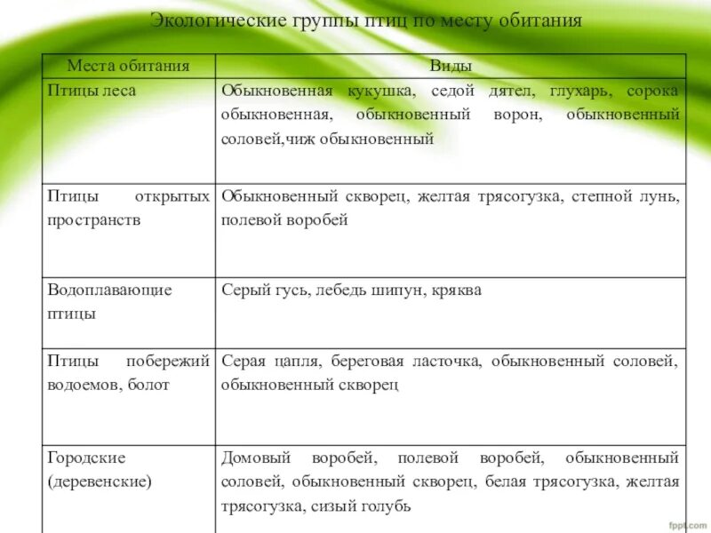 Таблица по биологии 7 класс экологические группы птиц. Таблица экологическая группа экологические группы птиц. Многообразие птиц экологические группы птиц таблица. Характеристика экологических групп птиц таблица 7 класс.