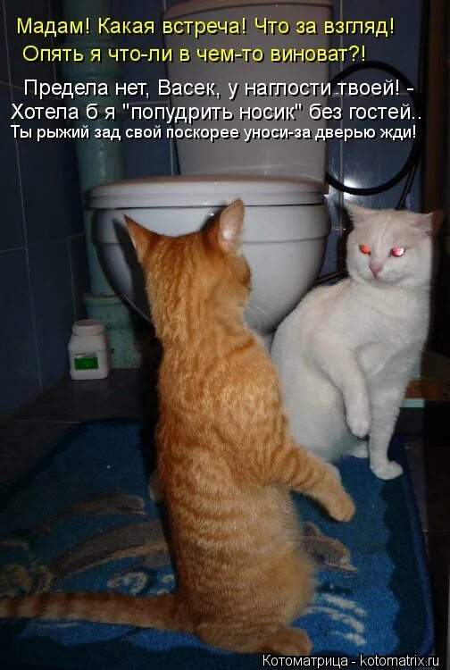 припудрить носик мем. попудрить носик. припудрить носик мем. я припудрить носик. припудрить носик.