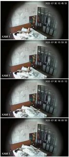 mp4 1.69 GB 00:38:28 1920x1080 