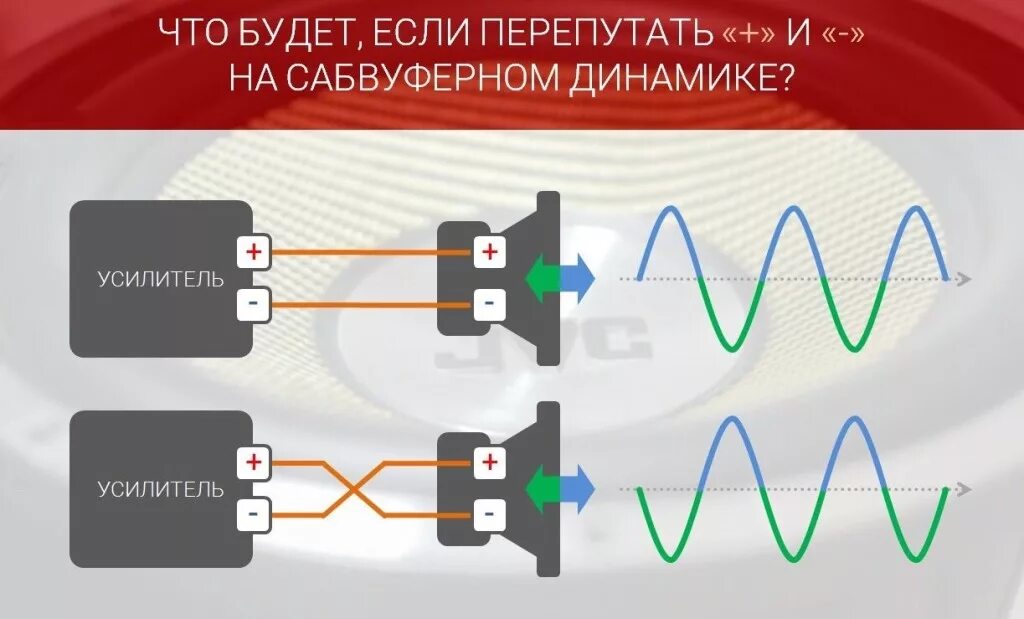 Полярность автомобильных колонок. Полярность включения динамиков. Динамики полярность подключения. Полярность при подключении динамиков.