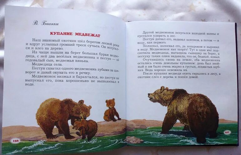 Рассказ купание медвежат. Рассказ купание медвежат
