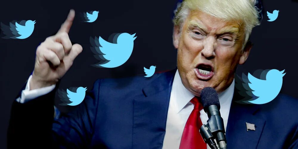 Трамп соцсети. Соц сеть трампа. Donald trump twitter. Трамп твиттер. Трамп твиттер.