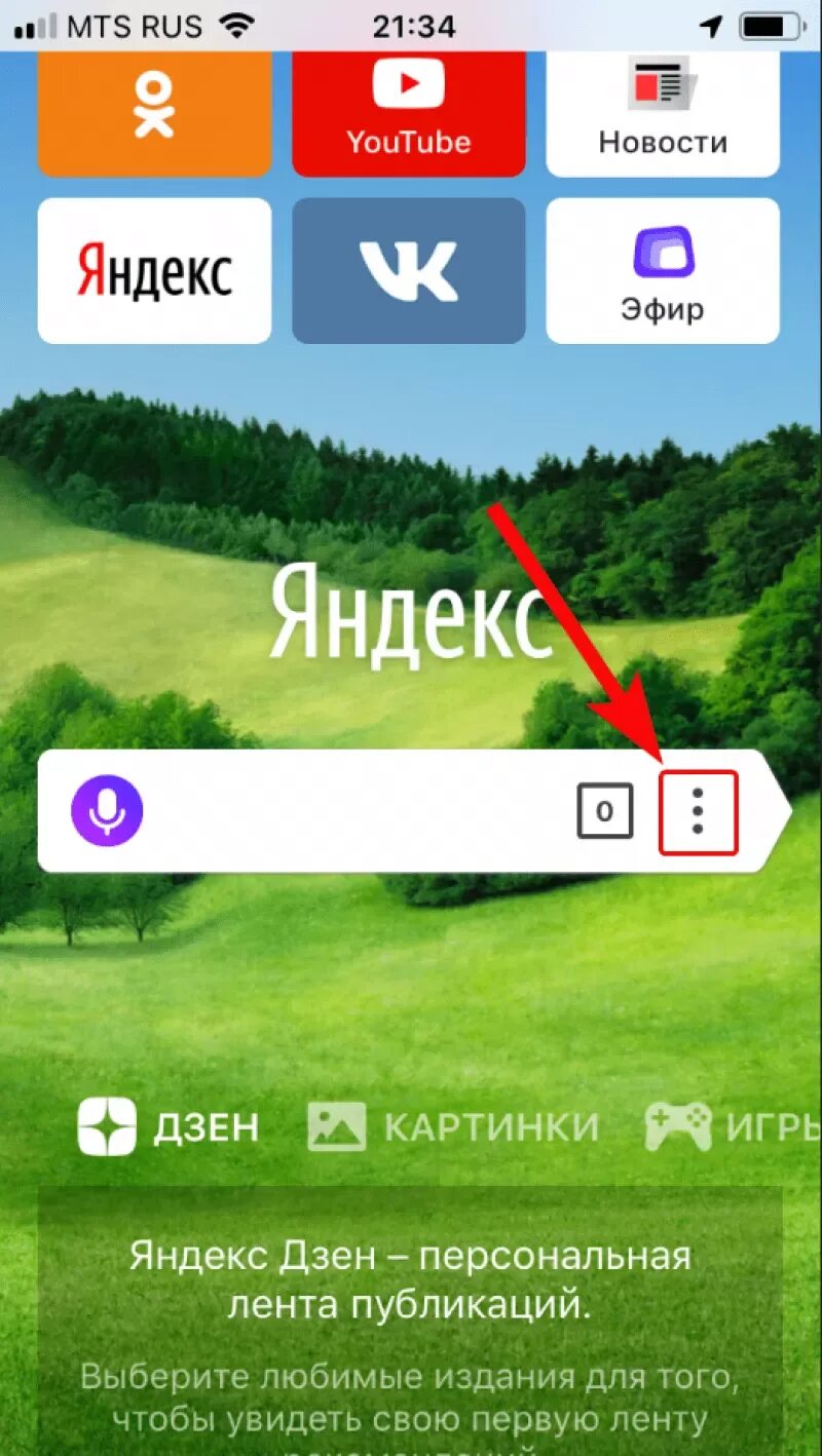Убрать алису из яндекса на андроиде. Удалить голосовой помощник алиса. алиса удали историю яндекса. удалил алису в яндексе.