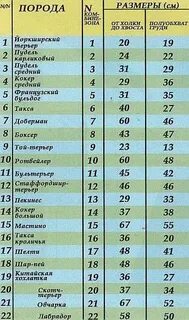 Сколько вес французского бульдога