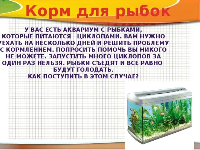 Какая вода нужна рыбкам. Температура воды в аквариуме для рыбок. Какая температура должна быть в аквариуме для рыбок. Какая нужна вода для рыбок. Какая температура воды должна быть в аквариуме.