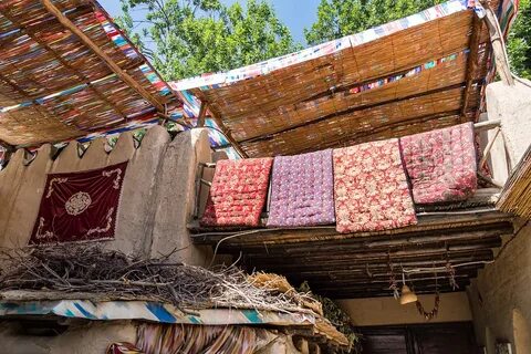 Human house