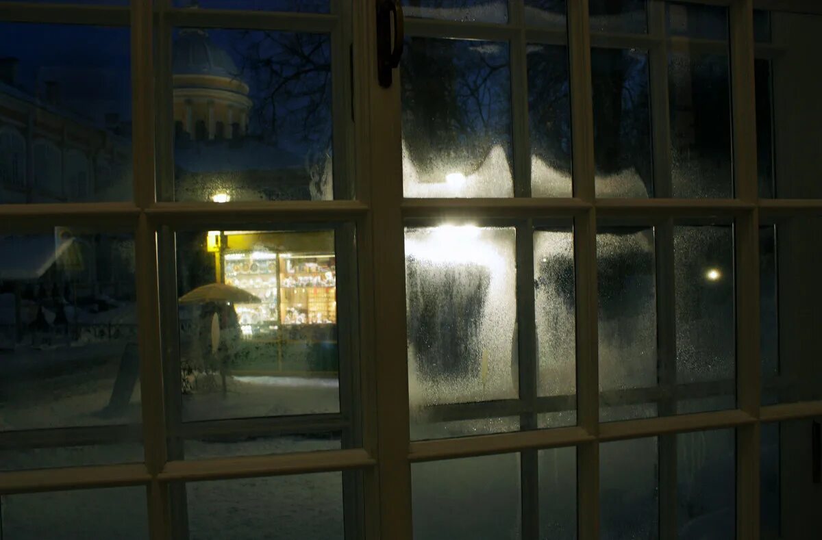 Зимнее окно. Девушка у вечернего зимнего окна. Цветы на подоконнике ночью. Александр волков "зимнее окно". Александр волков художник окно зима.