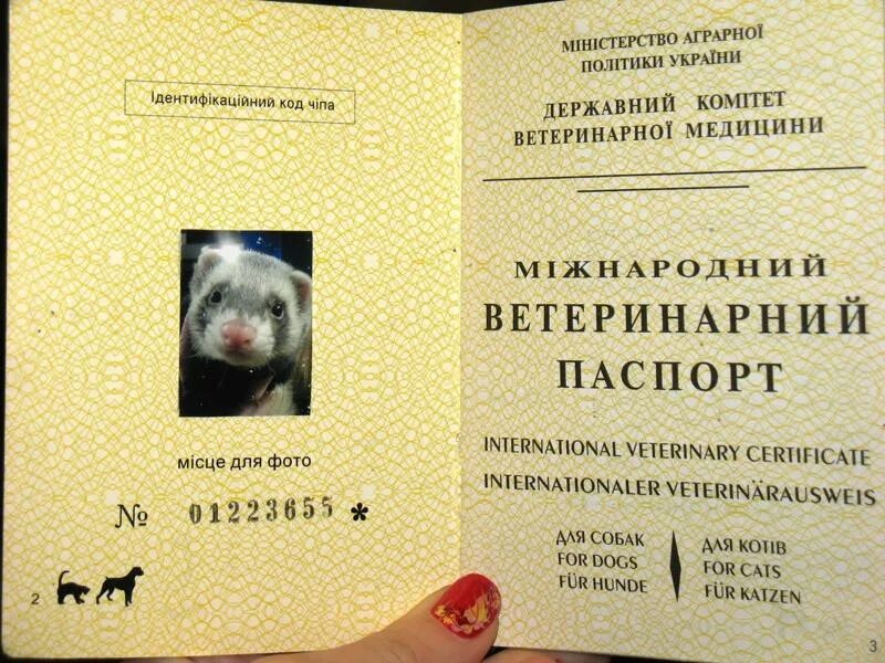Обложка для ветеринарного паспорта и документов, 8 видов ⚡ Бесплатная доставка з
