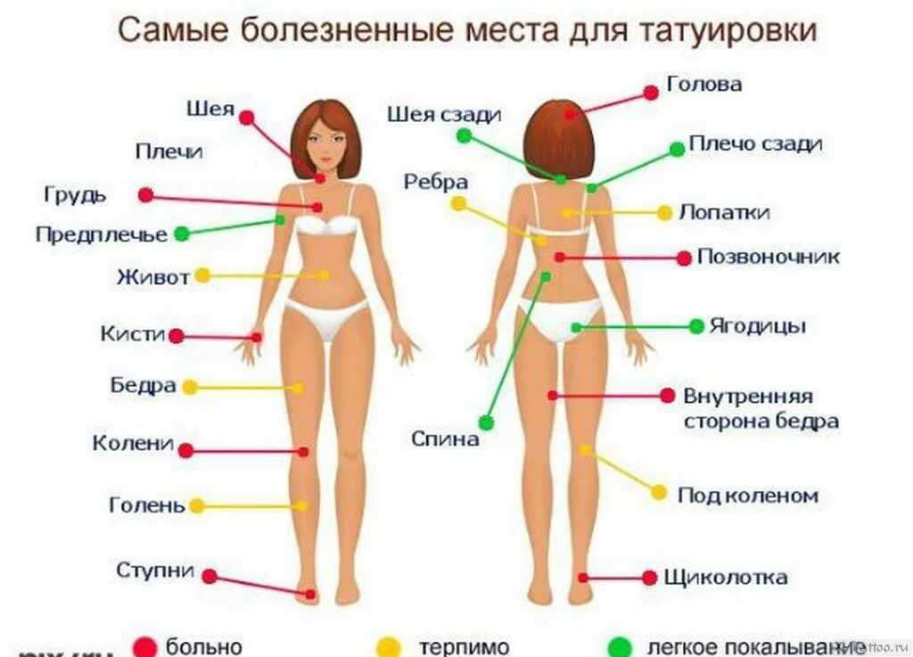 Можно ли чтоб. Самые болезненные места для татуировок. Болевые точки тату. Болевые точки на теле человека при тату. Самое больное место для тату.