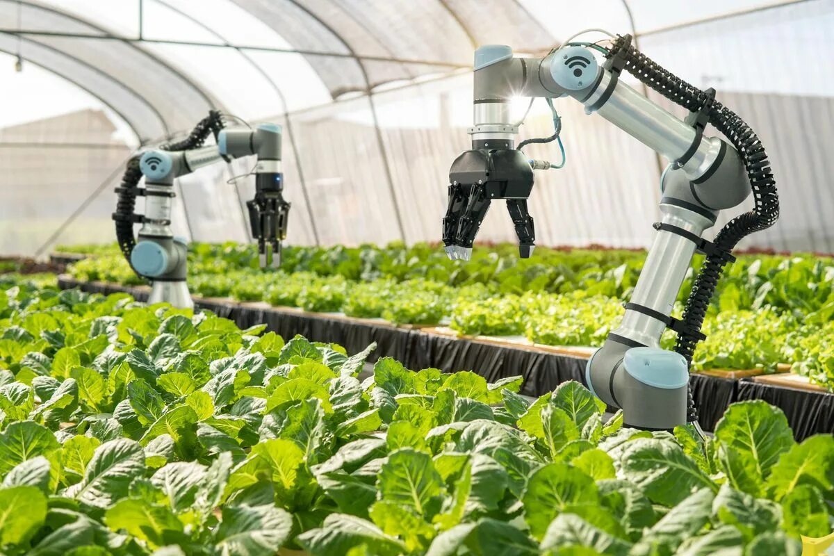 Robots can be used for
