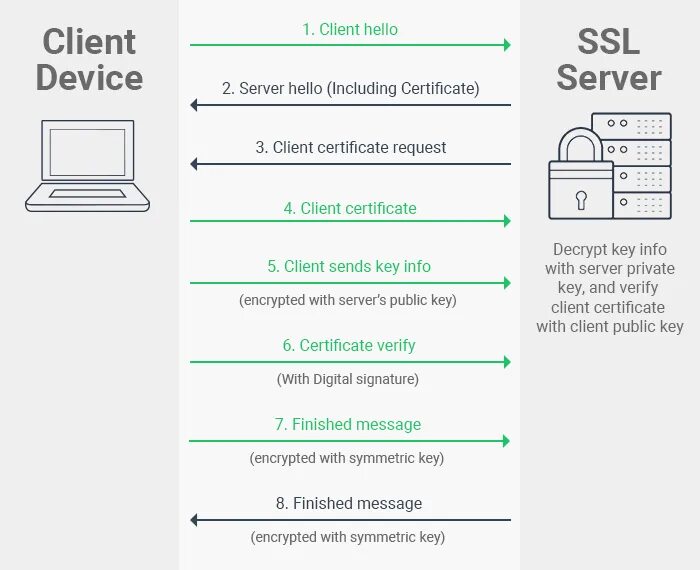 Client auth. SSL схема работы. SSL/TLS схема. SSL аутентификация клиента. Протокол безопасности SSL.