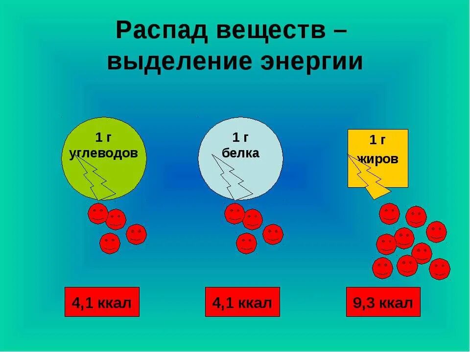 Выделение энергии в химии. Распад веществ. Энергия при расщеплении белков жиров и углеводов. Выделение энергии при распаде вещества. Органический распад