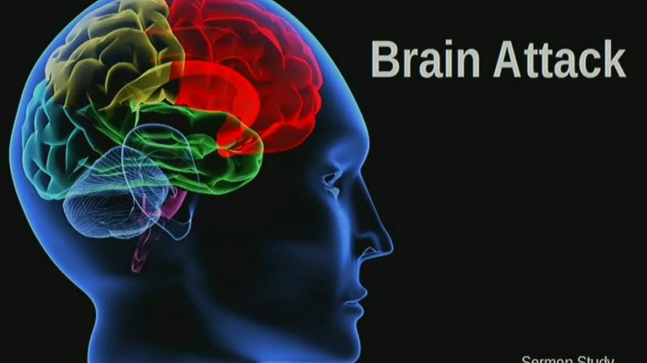 Brain live. Fascinate. Fascinate формы. Фото fascinated.