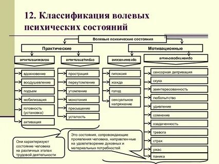 Методика исследования волевой организации личности