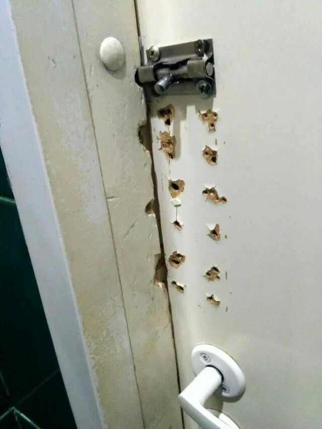 1 попытка угадай