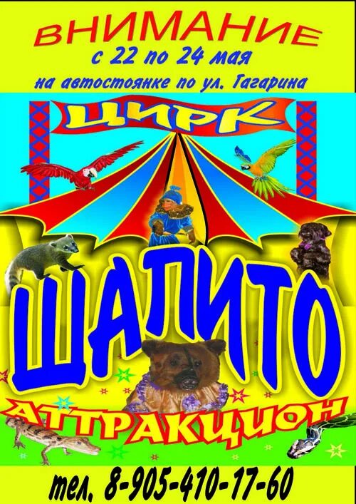 Цирк шапито маска новосибирск. Цирк шапито маска новосибирск. Новосибирский цирк афиша. Киселевск цирк маска рвсписание. Цирк шапито тверь.