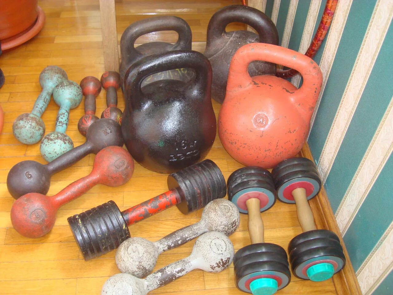 оборудование для кроссфита rogue. гарантийный талон на мопед альфа. документы на питбайк спортинвентарь. тренажёры в спортзале.