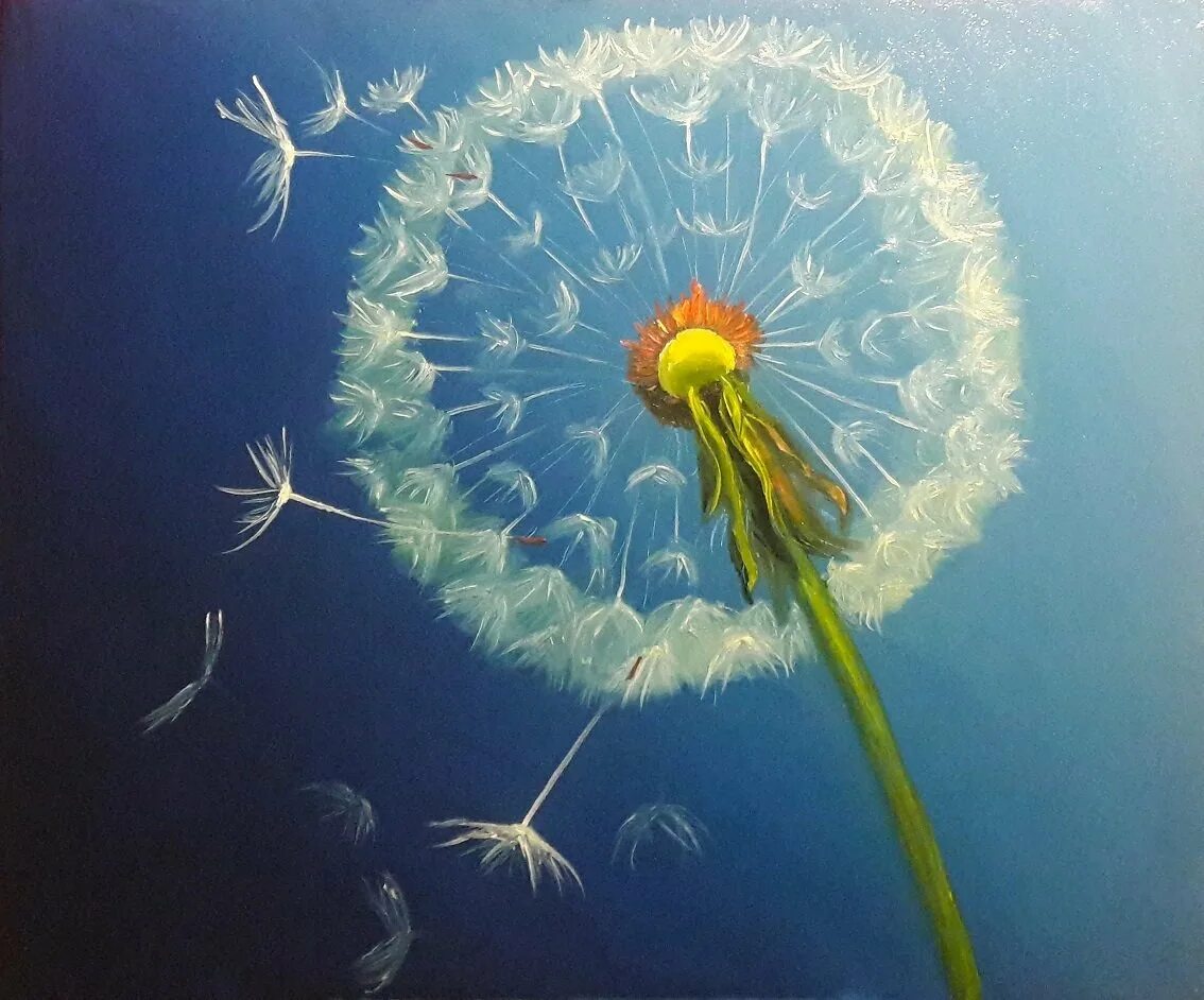 Дали одуванчик. Дали одуванчик. Сальвадор дали танец одуванчика. Рисуем одуванчик. Одуванчиковое поле моне картины маслом.