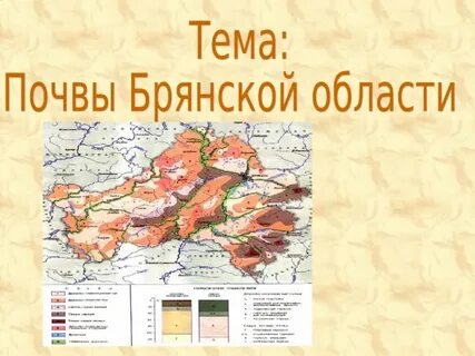 Брянская почва