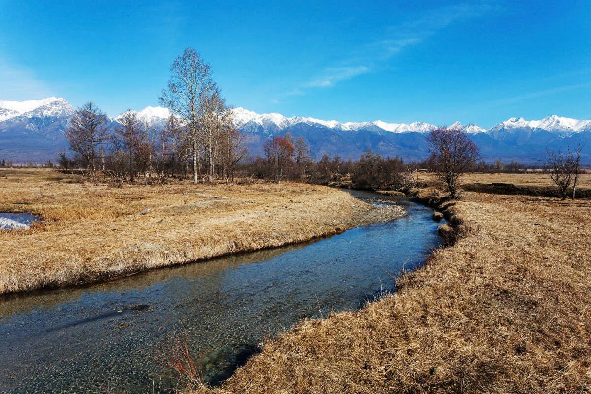 поток весной. поток весной. студеный ручей. терек река бурная. весенняя река.