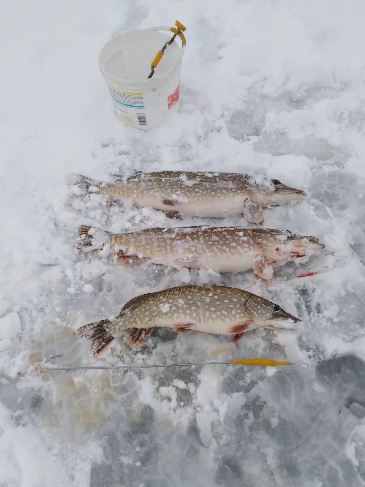 Вазузское водохранилище рыбалка. Вазузское водохранилище зимняя рыбалка. Вазузское водохранилище рыбалка зимой. Лунка рыбалка. Форум вазузского водохранилища