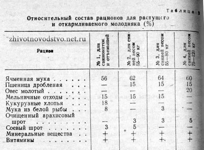 Чем кормить поросят в 1. Таблица кормления поросят от 2 месяцев. Рационы кормов для поросят Сосунов. Рацион кормления свиней таблица. Рацион кормления свиней на откорме.