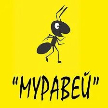 Муравей чита хилок