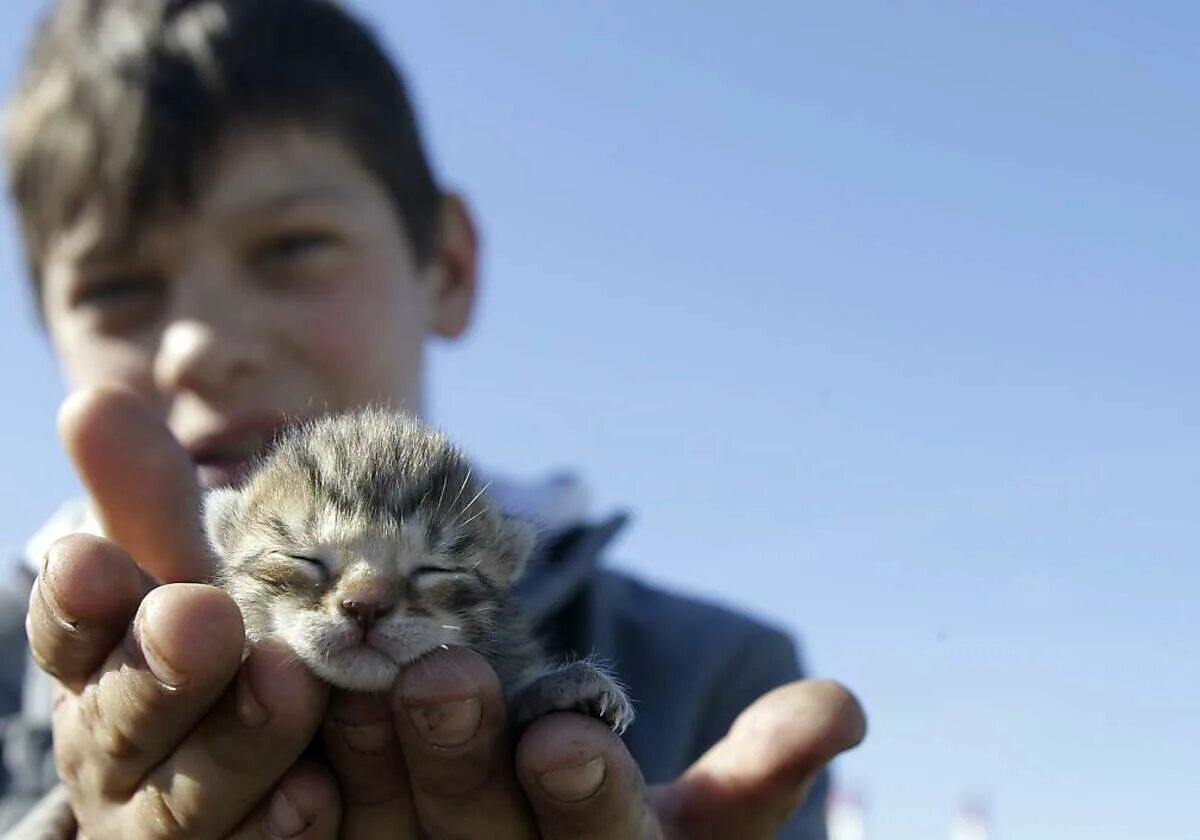 Включи кот пацан. Мальчик с котенком на руках. Котенок за пазухой. Мальчик с котом на руках. Мальчик держит котенка.