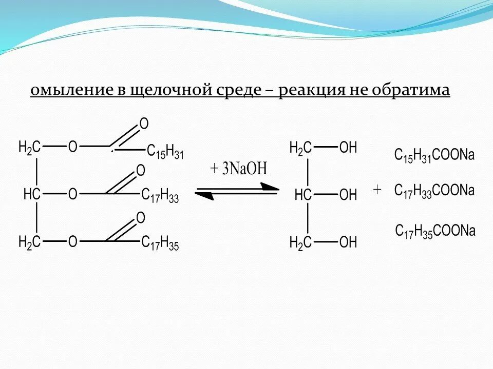 Реакция омыления липидов. Реакции омыления гидролиза липидов. Омыление линолевой кислоты. Реакция омыления фосфолипида. Реакцией омыления называют
