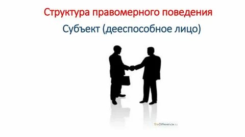 Правовая оценка поведения