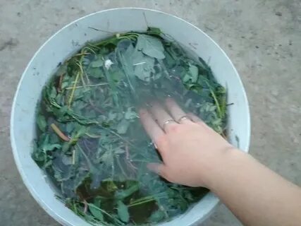 Настой для аквариума