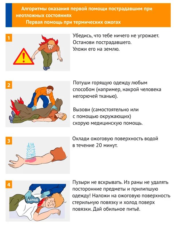 Термический ожог 1 степени первая помощь. Алгоритм оказания первой помощи при химических и термических ожогах. Оказание первой помощи пострадавшему при термическом ожоге. Термический ожог алгоритм оказания первой помощи. Алгоритм оказания первой помощи при термическом ожоге 1 степени.