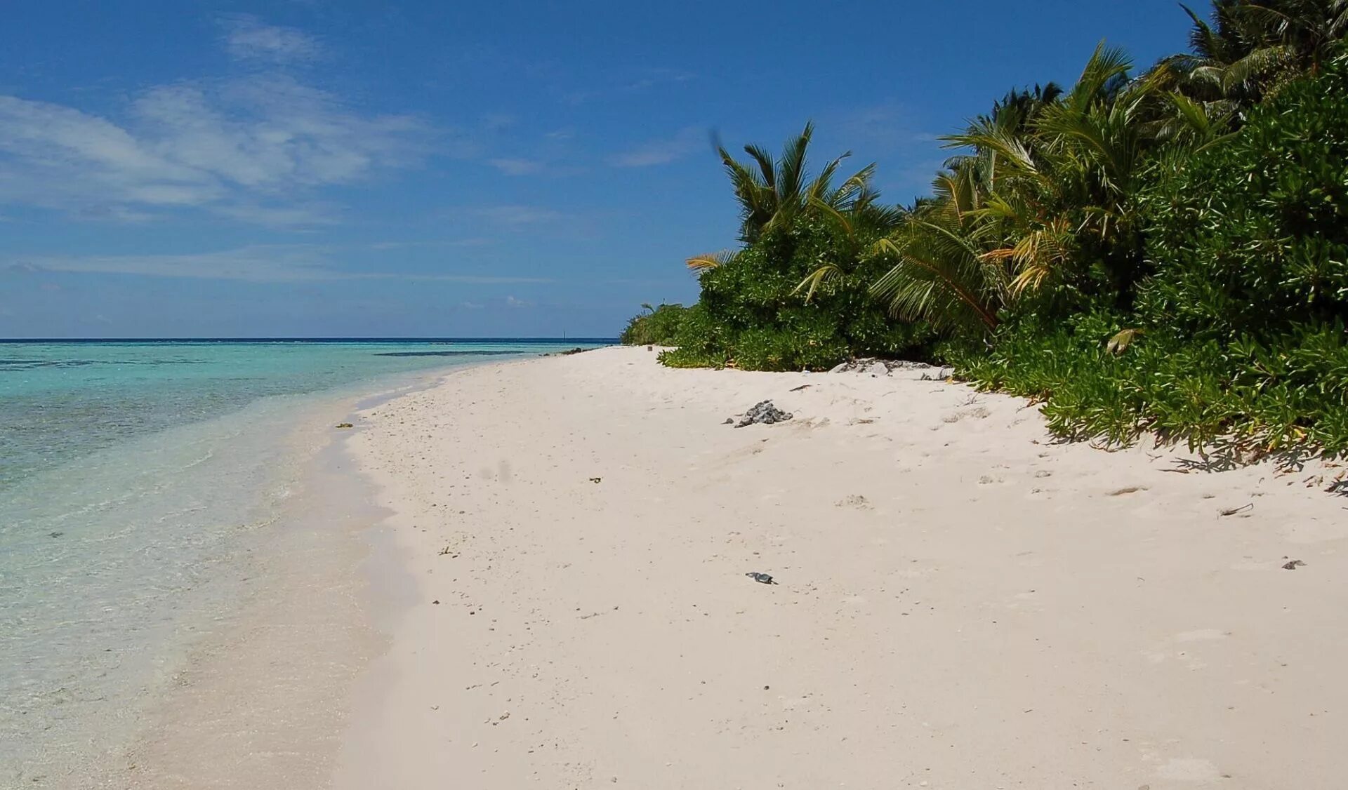 Остров Фелиду Мальдивы. Тинаду остров Мальдивы. Атолл Фелидху. Plumeria Maldives Мальдивы, Вааву Атолл. Ваав