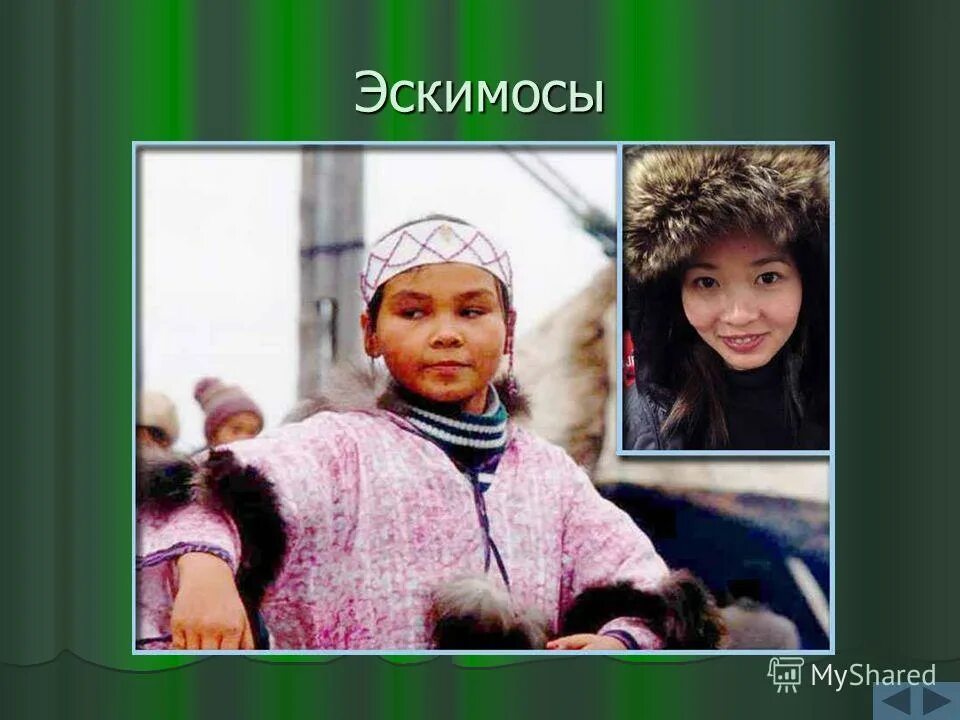 экологические расы.