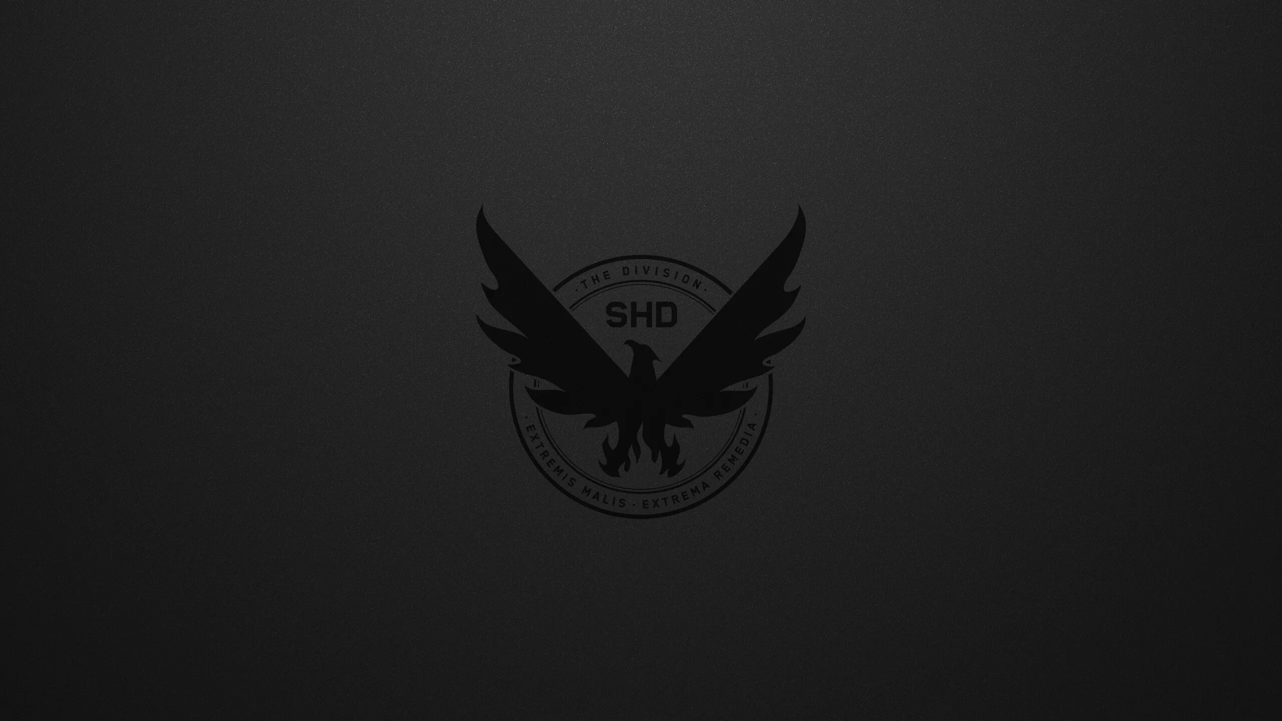 12 2 обои. Том Клэнси 2. Tom Clancy's the Division 2 обои. The Division 2 Wallpaper. Обои на рабочий стол дивижн.