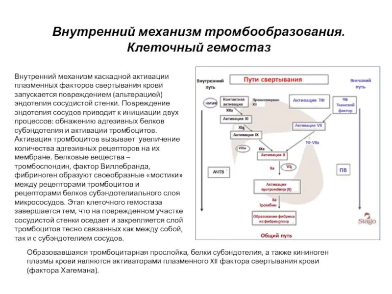 Инфильтрация декомпозиция трансформация