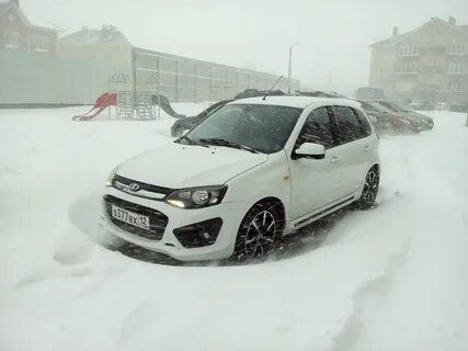 Калина 2 зимой