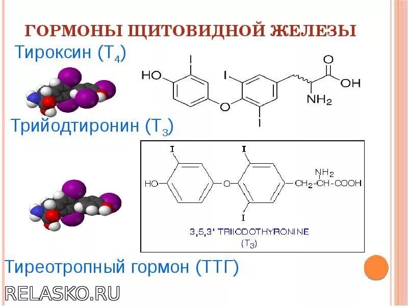 Гормоны щитовидной железы трийодтиронин. Тиреотропный гормон формула. Тиреотропный гормон химическая формула. Химическая структура гормонов щитовидной железы.