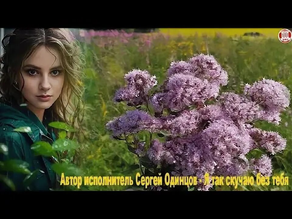 Песни сергея одинцова я так скучаю