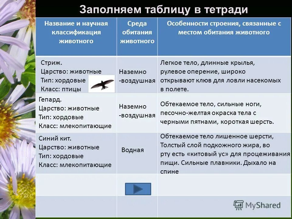 :Среда обитанияособеносьи строения. Среды обитания животных таблица. Особенности строения в среде обитания. Среда обитания особенности обитатели.