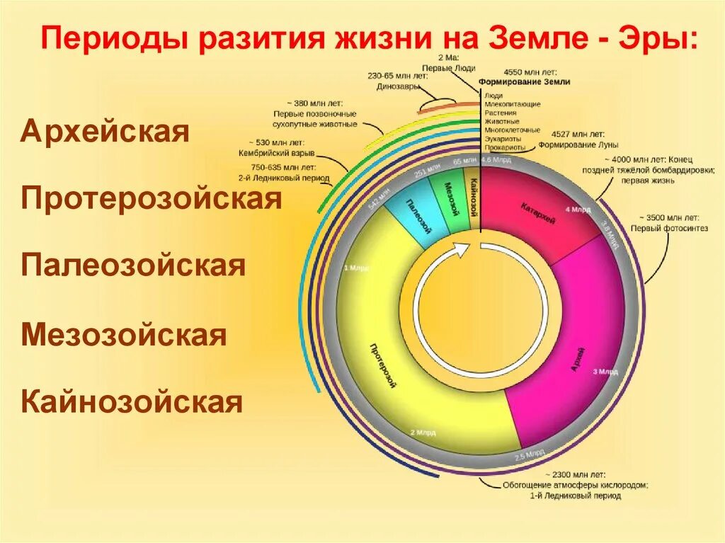 История земли ли. Периоды земли. Этапы развития земли. Развитие жизни на земле. Эры земли.