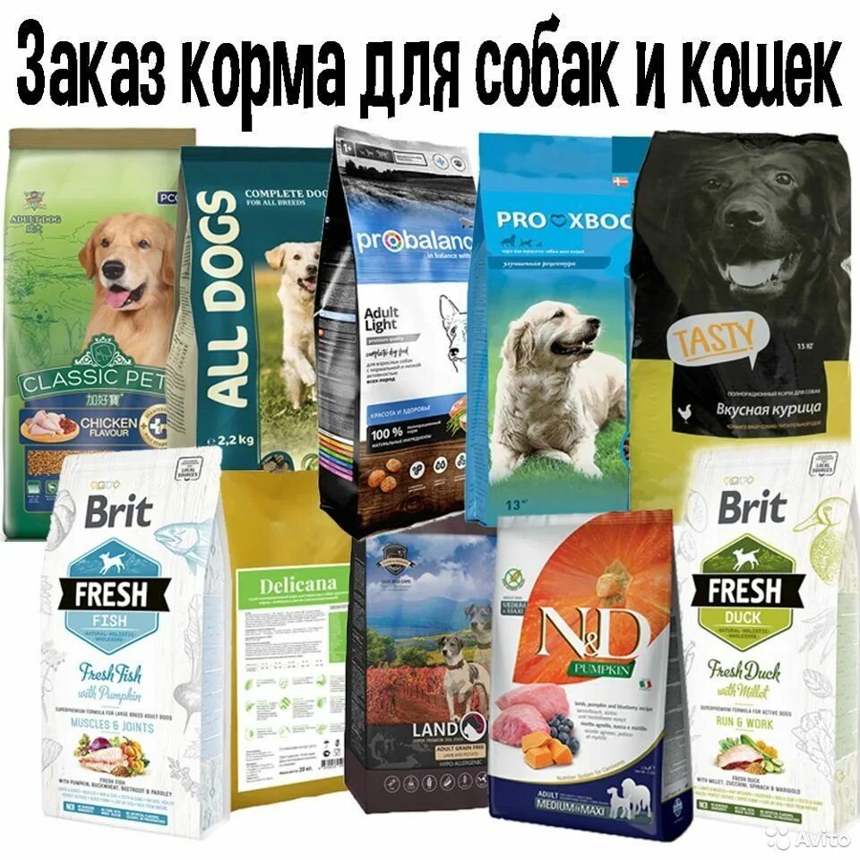 Рейтинг российских сухих кормов для собак. Корм для собак. Корма для кошек и собак. Сухой корм для собак. Сухие корма для кошек и собак.