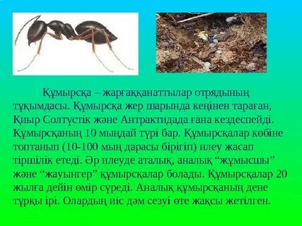 Тележүргізушімен секс көру