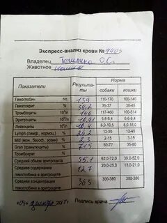 Анализ где дешевле